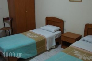Ziakas Rooms_best deals_Room_Macedonia_Grevena_Perivolaki