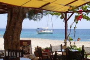 Hotel Avlakia_holidays_in_Hotel_Aegean Islands_Samos_Samosst Areas