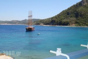 Hotel Avlakia_accommodation_in_Hotel_Aegean Islands_Samos_Samosst Areas