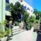 Minoa_holidays_in_Hotel_Cyclades Islands_Paros_Naousa