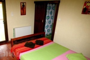 Guesthouse Kalypso_holidays_in_Hotel_Thessaly_Larisa_Agia