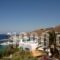 Megas Rooms_accommodation_in_Room_Cyclades Islands_Mykonos_Mykonos Chora