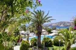 Dionysos Seaside Resort in Ios Chora, Ios, Cyclades Islands