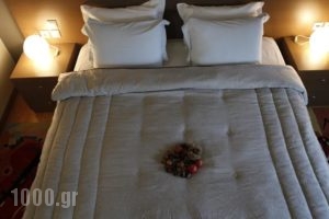 Aigai Hotel_lowest prices_in_Hotel_Macedonia_Pella_Edessa City