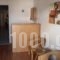 Ilias Studios_best prices_in_Apartment_Dodekanessos Islands_Kos_Kardamena