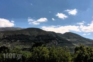 Lakkas_travel_packages_in_Epirus_Ioannina_Ioannina City