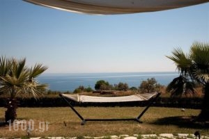 Cavo Petra_lowest prices_in_Room_Piraeus Islands - Trizonia_Trizonia_Trizonia Rest Areas