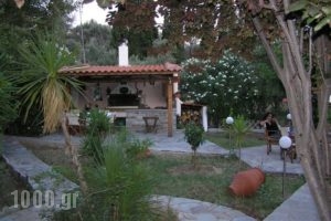 Green Paradise_accommodation_in_Apartment_Central Greece_Evia_Nea Stira