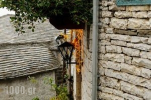 Thoukididis_accommodation_in_Hotel_Epirus_Ioannina_Papiggo