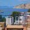 Hippocampus_best prices_in_Hotel_Piraeus Islands - Trizonia_Aigina_Perdika