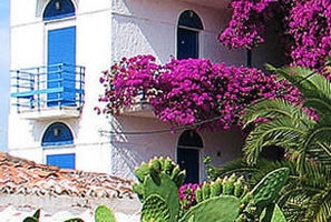 Hippocampus_holidays_in_Hotel_Piraeus Islands - Trizonia_Aigina_Perdika