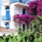 Hippocampus_holidays_in_Hotel_Piraeus Islands - Trizonia_Aigina_Perdika