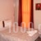 Hotel Vasilis_lowest prices_in_Hotel_Peloponesse_Argolida_Nafplio
