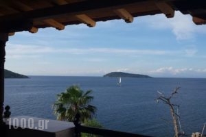 Chrysoula's Guest House_lowest prices_in_Hotel_Sporades Islands_Skiathos_Skiathos Chora