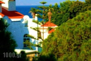 Fantasia Apartments_accommodation_in_Hotel_Dodekanessos Islands_Kos_Kos Chora