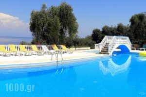 Veroniki Studios & Apartments_best deals_Apartment_Ionian Islands_Corfu_Melitsa