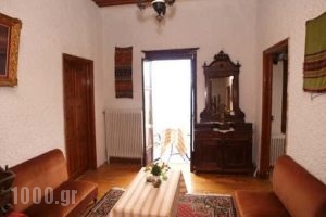 Archontiko Routsou_best prices_in_Hotel_Thessaly_Magnesia_Makrinitsa