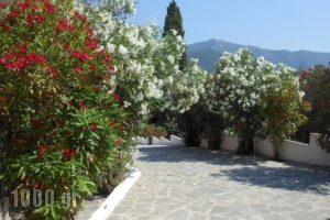 Ziogas Apartments_travel_packages_in_Ionian Islands_Corfu_Kato Korakiana