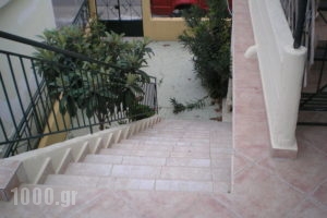 Ifigenia Markatou_best prices_in_Apartment_Ionian Islands_Kefalonia_Poros
