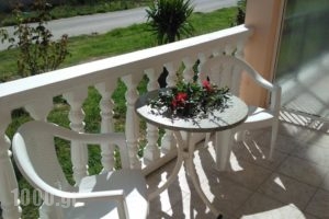 Cactus Hotel_accommodation_in_Hotel_Ionian Islands_Zakinthos_Laganas