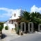 Zanneta Studios_accommodation_in_Apartment_Cyclades Islands_Naxos_Mikri Vigla
