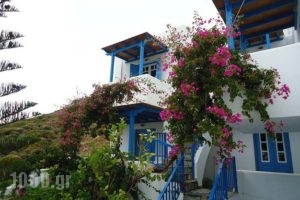 Irene Studios_holidays_in_Apartment_Cyclades Islands_Andros_Gavrio
