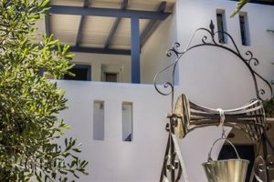 Irene Studios_lowest prices_in_Apartment_Cyclades Islands_Andros_Gavrio