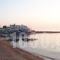 Adonis Hotel_accommodation_in_Hotel_Cyclades Islands_Naxos_Agia Anna