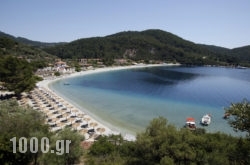 Rigas Hotel in Skopelos Chora, Skopelos, Sporades Islands