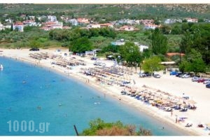 Sissy's Villas_best deals_Villa_Aegean Islands_Thasos_Potos