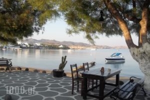 Floras Rooms_travel_packages_in_Cyclades Islands_Milos_Apollonia