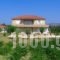 Aggelina's Apartments_accommodation_in_Apartment_Ionian Islands_Kefalonia_Kefalonia'st Areas