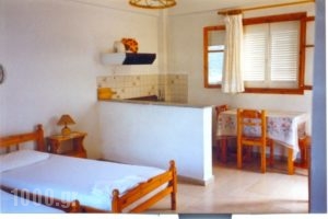 Politis Apartments_accommodation_in_Apartment_Ionian Islands_Ithaki_Ithaki Rest Areas