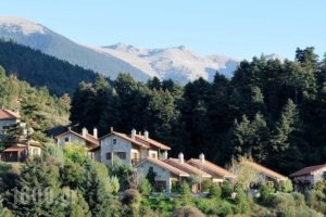 Georgio's V Chalet_travel_packages_in_Peloponesse_Achaia_Kalavryta