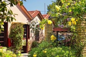 Konaki_best prices_in_Hotel_Ionian Islands_Lefkada_Lefkada Rest Areas
