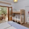 Studios Kapahi_best prices_in_Apartment_Aegean Islands_Thasos_Thasos Chora