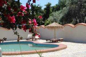 Aggelos Studio_lowest prices_in_Hotel_Sporades Islands_Skiathos_Skiathoshora