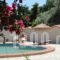 Aggelos Studio_lowest prices_in_Hotel_Sporades Islands_Skiathos_Skiathoshora