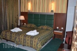 Krikonis Suites Hotel_best deals_Hotel_Epirus_Ioannina_Dodoni