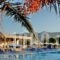 Asteras Resort_accommodation_in_Hotel_Dodekanessos Islands_Kos_Kos Rest Areas