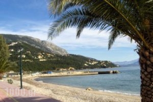 Gorgona Studios & Apartments_best prices_in_Apartment_Ionian Islands_Corfu_Corfu Rest Areas
