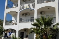 Hotel Pefko in Athens, Attica, Central Greece