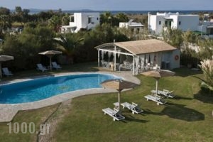 Ammos Naxos Exclusive Apartments & Studios_holidays_in_Apartment_Cyclades Islands_Naxos_Naxos Chora