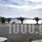 Fos Suites_holidays_in_Hotel_Cyclades Islands_Mykonos_Mykonos ora