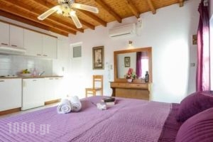 Studios Anemos_best prices_in_Apartment_Cyclades Islands_Naxos_Naxos Chora