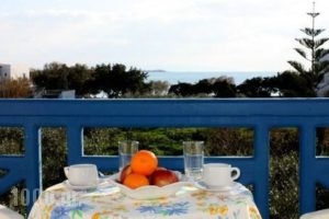 Minas Studios_best prices_in_Hotel_Cyclades Islands_Naxos_Agios Prokopios