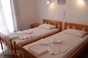 Pansion Kaloyiannis_holidays_in_Hotel_Sporades Islands_Alonnisos_Patitiri