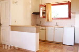 Heleni Apartments_best prices_in_Apartment_Peloponesse_Argolida_Archea (Palea) Epidavros