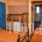 Mainades Maisonettes & Studios_best prices_in_Room_Cyclades Islands_Andros_Andros Rest Areas
