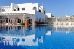 Holiday Sun Hotel in Antiparos Rest Areas, Antiparos, Cyclades Islands